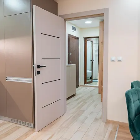 Apartment One-bedroom With Free Parking, Free Gym Pass And Office Setup *