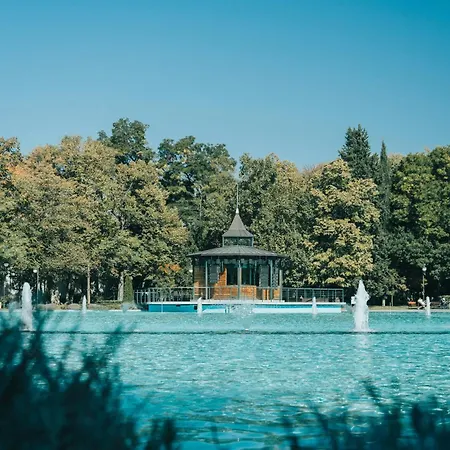 One-bedroom With Free Street Parking, Free Gym Pass And Office Setup Plovdiv