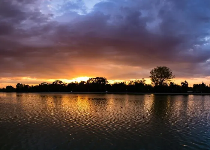 One-bedroom With Free Street Parking, Free Gym Pass And Office Setup 普罗夫迪夫